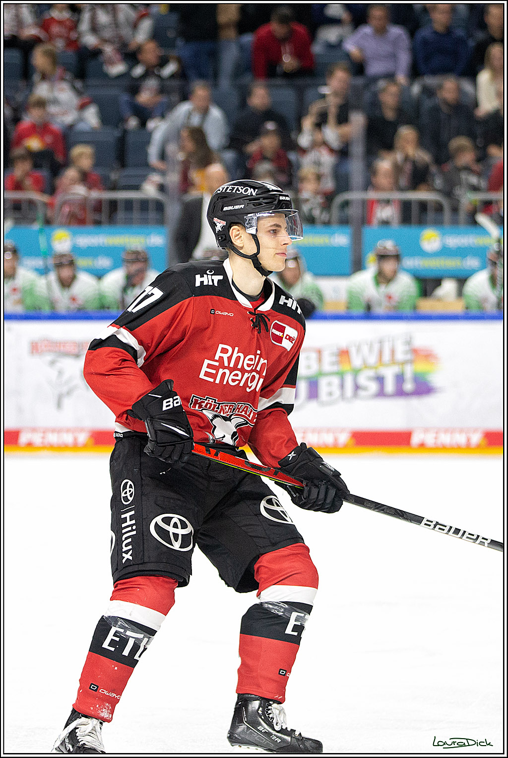 PENNY DEL; Koelner Haie- Bietigheim Steelers; Koeln, 19.11.2021
